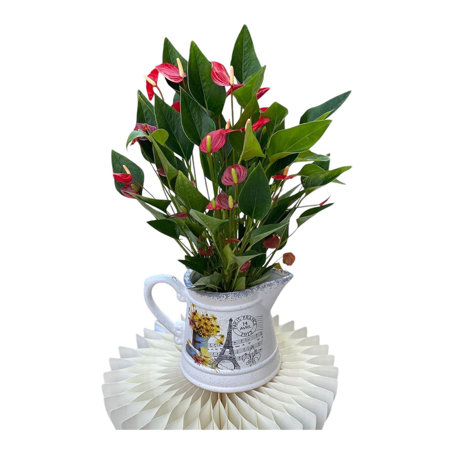 Anthurium in a special pot